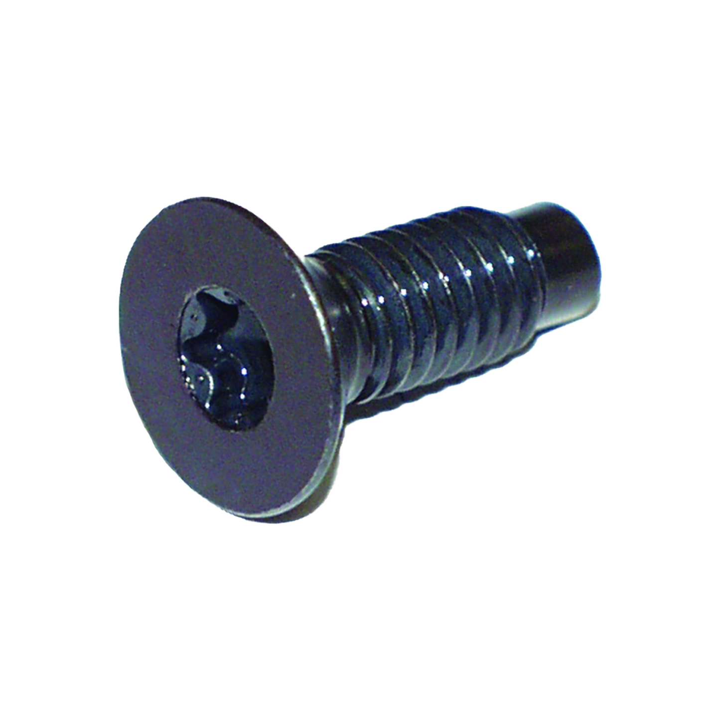76-06 Jeep Wrangler TJ, YJ, CJ5,7,8 Torx Screw (Windshield Hinge) 6035757