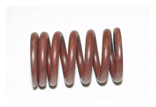 Intake Valve Spring J0800417