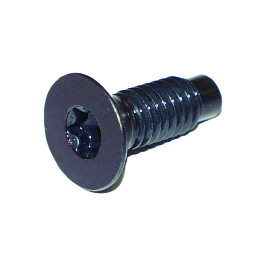76-06 Jeep Wrangler TJ, YJ, CJ5,7,8 Torx Screw (Windshield Hinge) 6035757