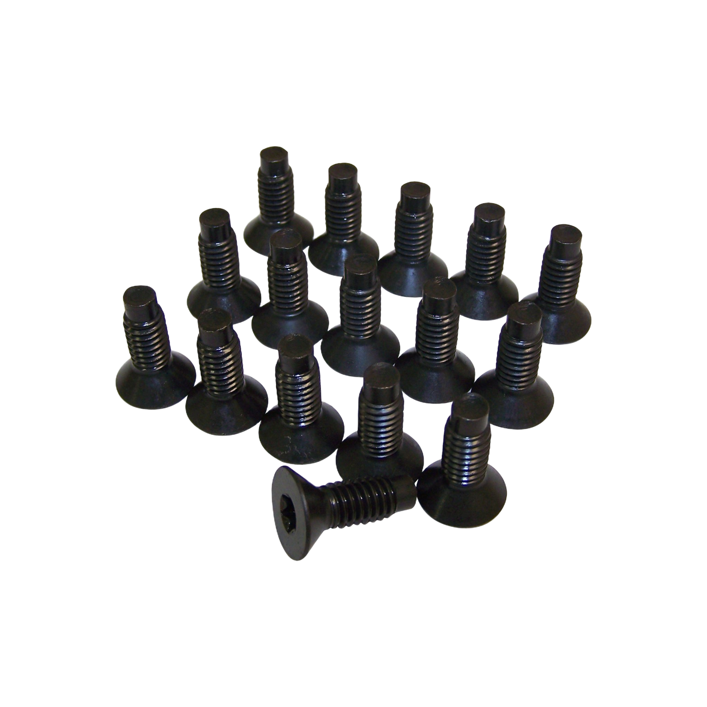 Torx 16 Screw Kit 6035757K